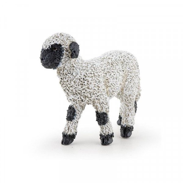 Wallisi feketeorrú bárány