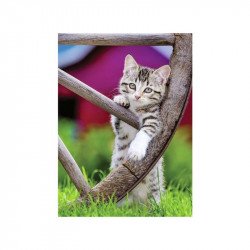 Puzzle 2x500 db - Kiscicák vidéken 1000-2999 darabos puzzle Ravensburger