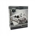 papírtasak autós 18x21, 5x8cm