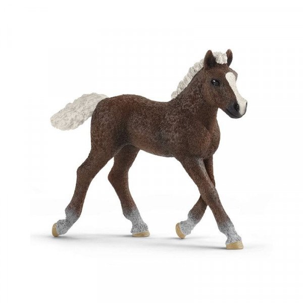 Schleich Schwarzwaldi csikó