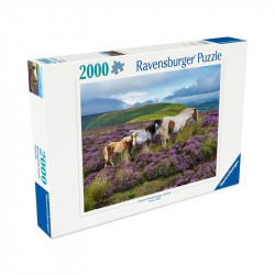 Puzzle 2000 db - Vadlovak a mezőn