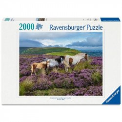 Puzzle 2000 db - Vadlovak a mezőn 1000-2999 darabos puzzle Ravensburger