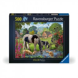 Puzzle 500 db - Hadlow pónik 500-999 darabos puzzle Ravensburger
