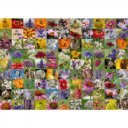 Puzzle 1000 db - Méhecske kollázs