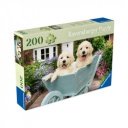 Puzzle 200 db - Golden retriver