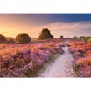 Puzzle 500 db - Dubai városa