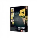 Virágművészet - Sárga rózsák 6db