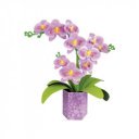 Virágművészet - Orchidea