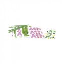 Virágművészet - Orchidea