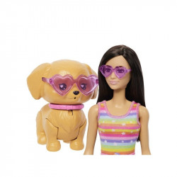 Barbie kutyasétáltó görkoris szett - barna baba