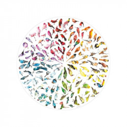Puzzle 500 db kör - Madarak